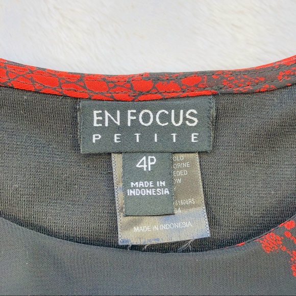 Enfocus Studio, Sleeveless Dress with Attached Sheer Shaw - Picture 8 of 12